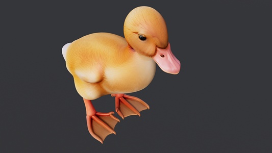 黄色的小鸭子