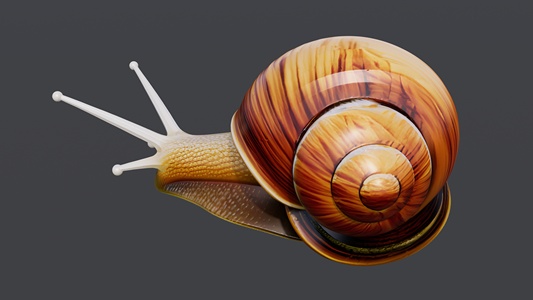 写实蜗牛