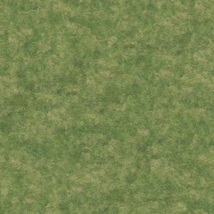 超高清自然草皮草地草坡草坪绿地地面贴图