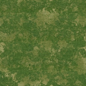 无缝草地草坪材质贴图 (1)