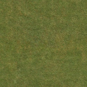 无缝草地草坪材质贴图 (3)