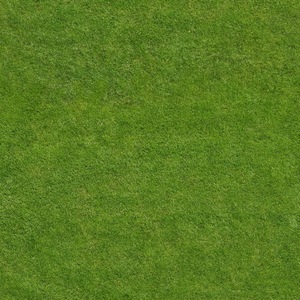 无缝绿色草坪地面贴图