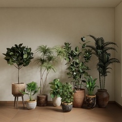 植物组合 盆栽组合SU模型