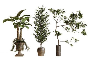 现代绿植盆栽SU模型