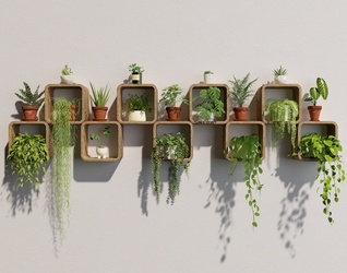 盆栽_绿植_垂吊植物_SU模型