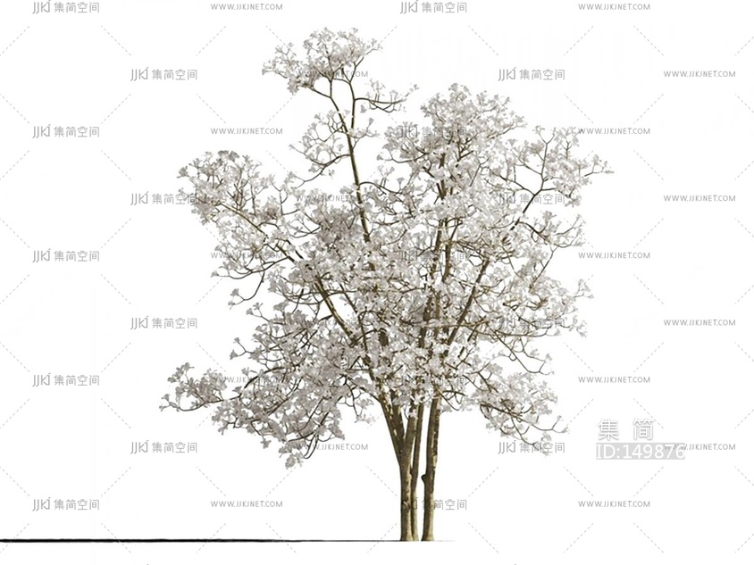 11-玉兰_迎春花_木兰_玉堂春_景观树街道树园林开花树su模型2