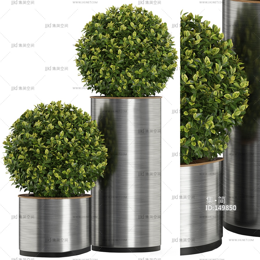 14-现代植物盆栽_球形植物_植物球3D模型crr