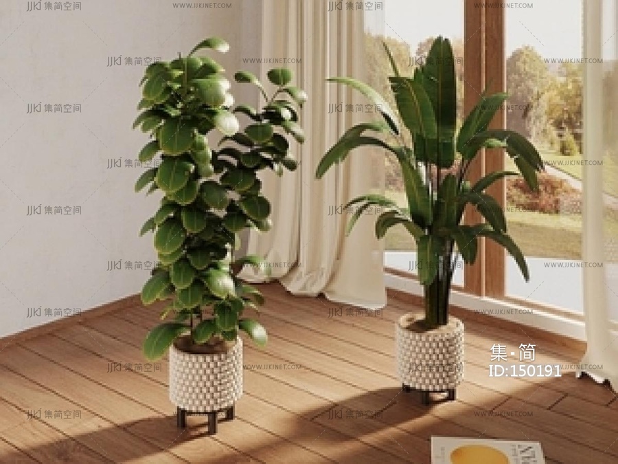 盆栽_现代植物盆栽SU模型