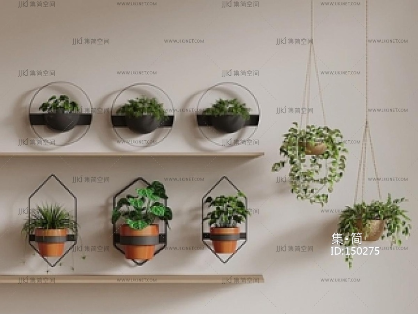 盆栽_现代绿植_吊篮SU模型