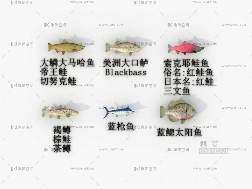 六种海鱼3D模型