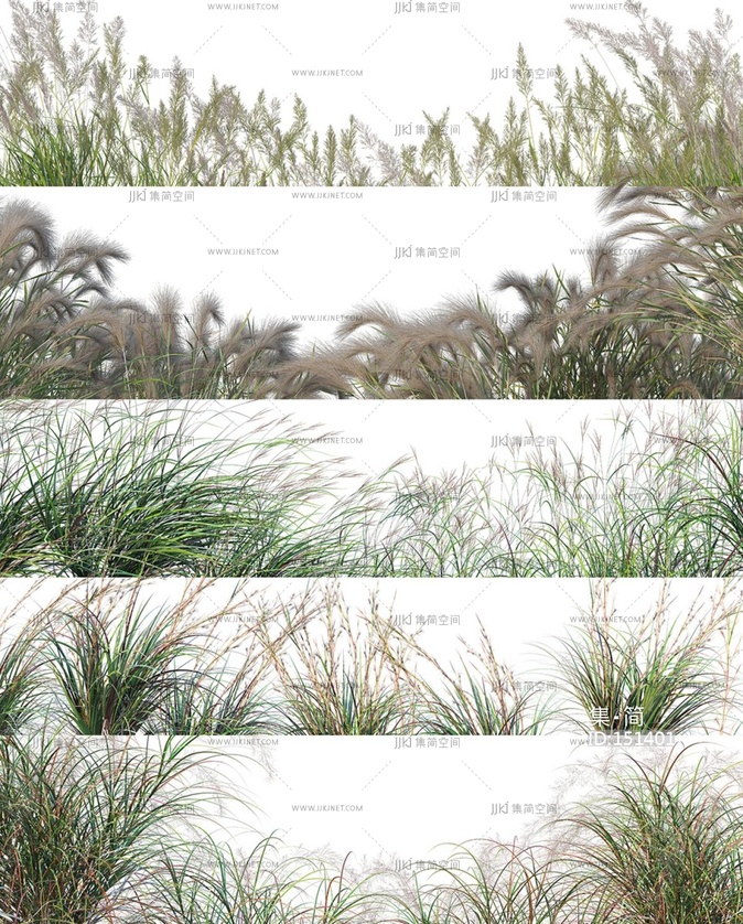 草丛草地观赏带植物组合_免抠贴图