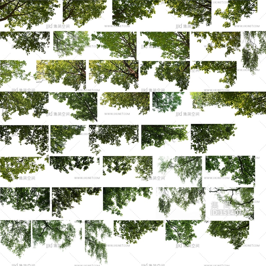 免抠春夏吊脚树前景贴图