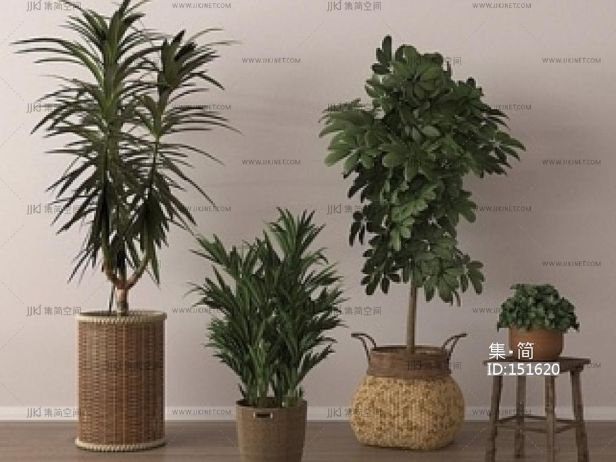 家居植物盆栽SU模型