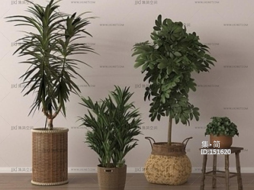 家居植物盆栽SU模型