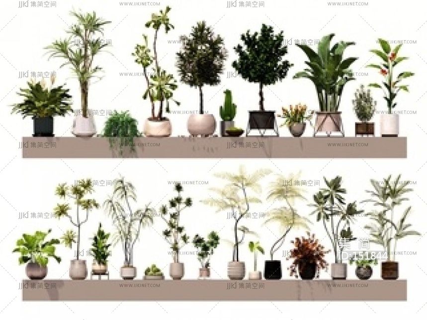 森系植物盆栽组合SU模型