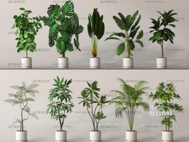 盆栽_植物_落地植物_绿植盆栽SU模型