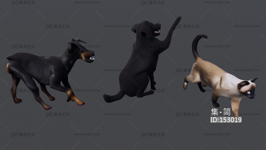 猫狗动物集合