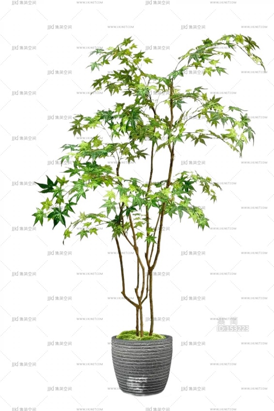 绿植盆栽花盆png免扣素材 (9)