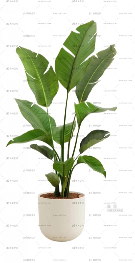 绿植盆栽花盆png免扣素材 (10)