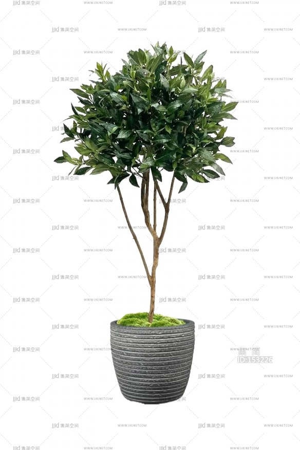 绿植盆栽花盆png免扣素材 (12)