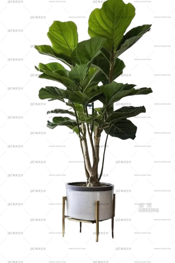 绿植盆栽花盆png免扣素材 (13)