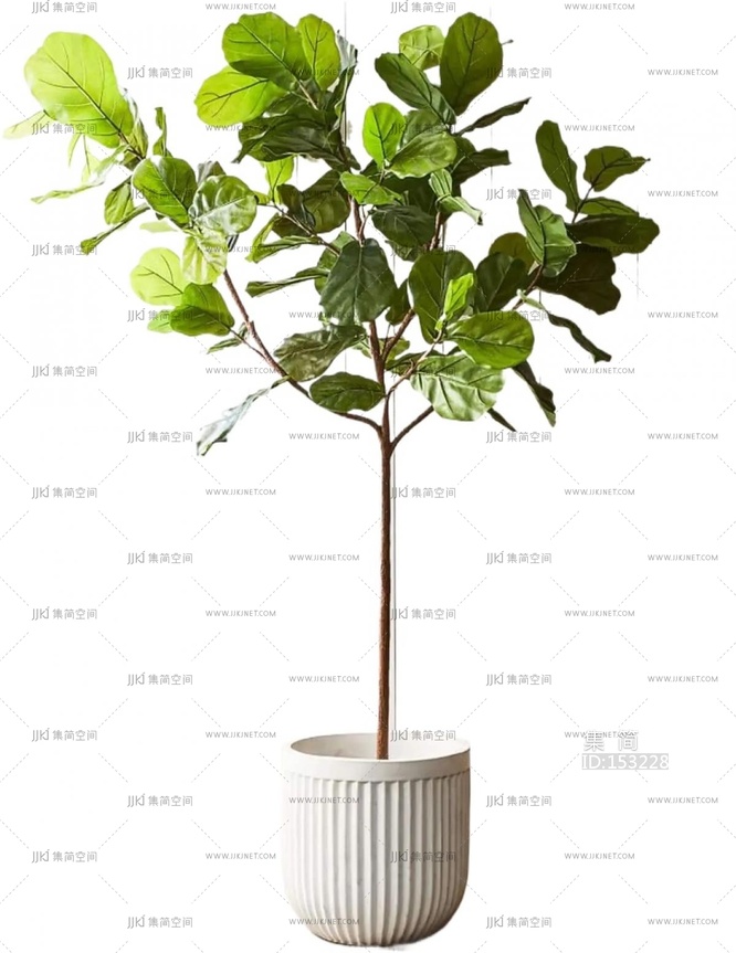 绿植盆栽花盆png免扣素材 (14)