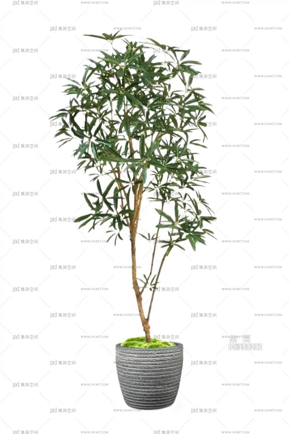 绿植盆栽花盆png免扣素材 (16)