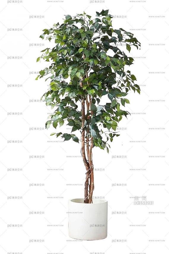 绿植盆栽花盆png免扣素材 (17)