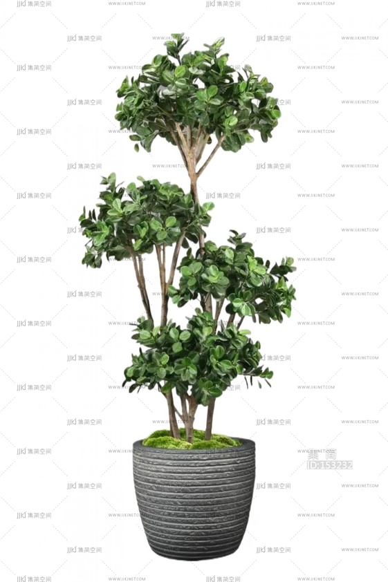 绿植盆栽花盆png免扣素材 (18)