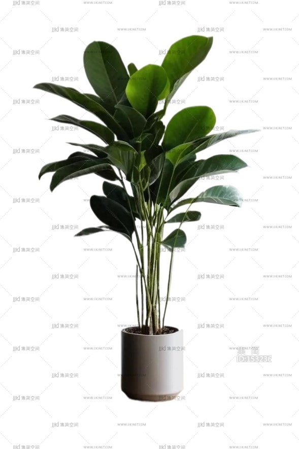 绿植盆栽花盆png免扣素材 (22)