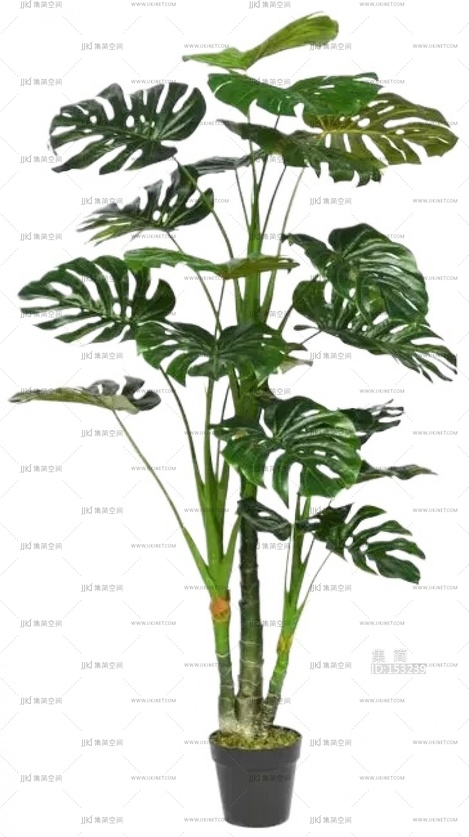 绿植盆栽花盆png免扣素材 (25)