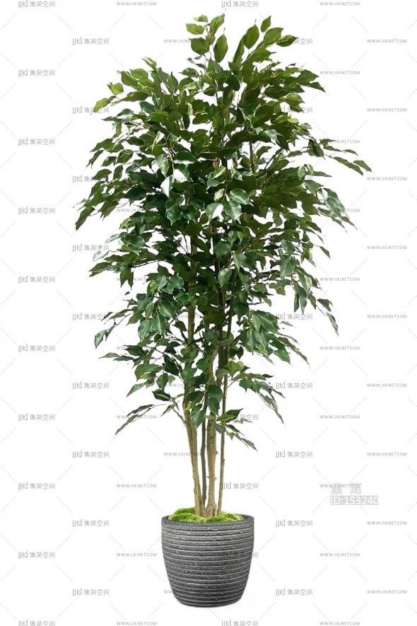 绿植盆栽花盆png免扣素材 (26)