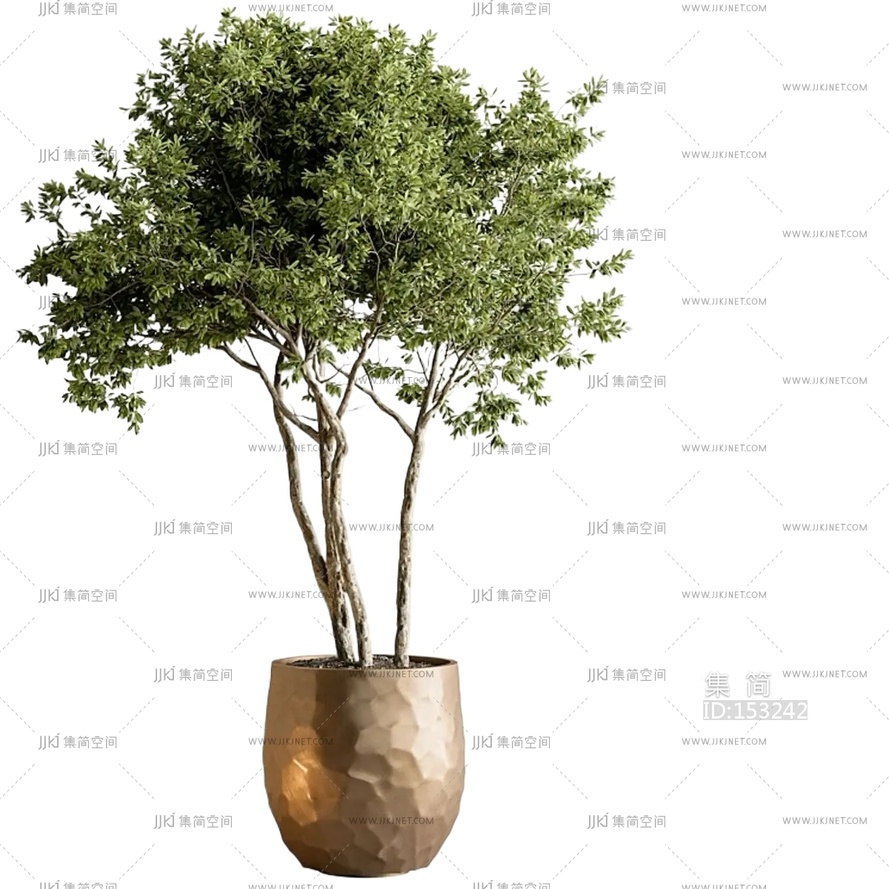 绿植盆栽花盆png免扣素材 (28)