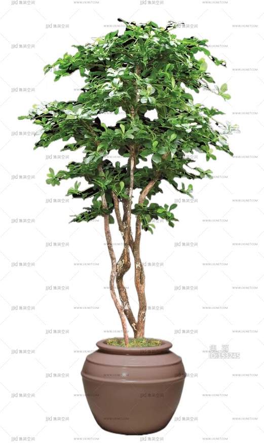 绿植盆栽花盆免扣素材 (2)