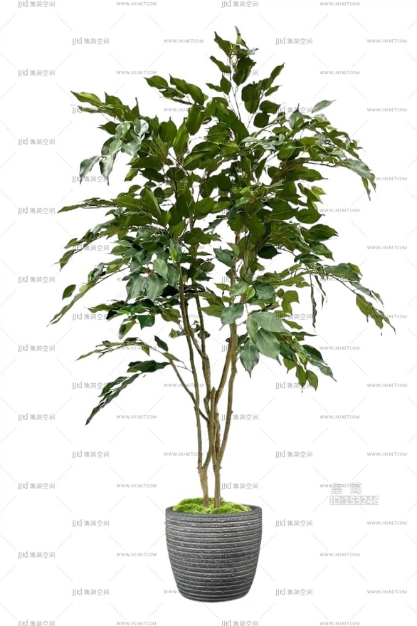 绿植盆栽花盆免扣素材 (3)