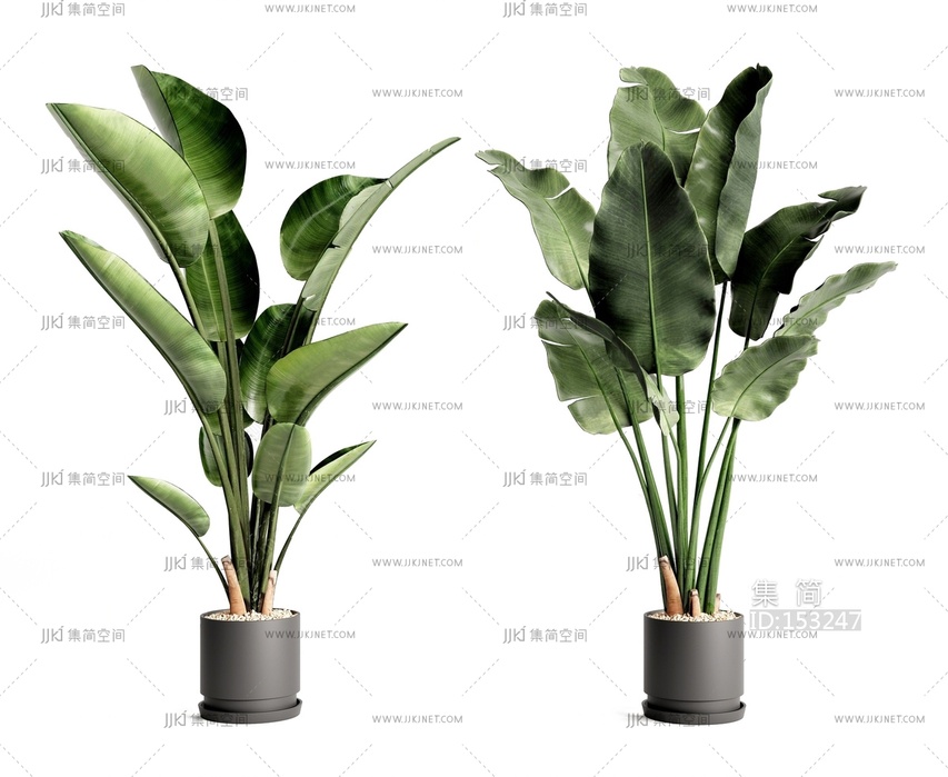 热带雨林植物堆 现代盆栽 PSD免抠素材j