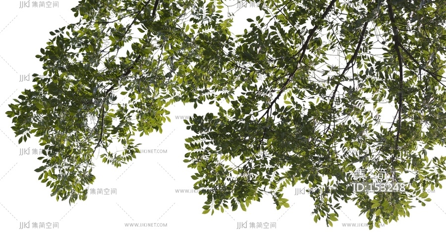 现代新中式剪影_免扣挂角前景树_树影_植物剪影贴图