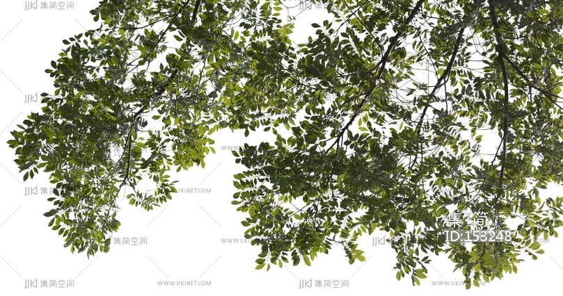 现代新中式剪影_免扣挂角前景树_树影_植物剪影贴图