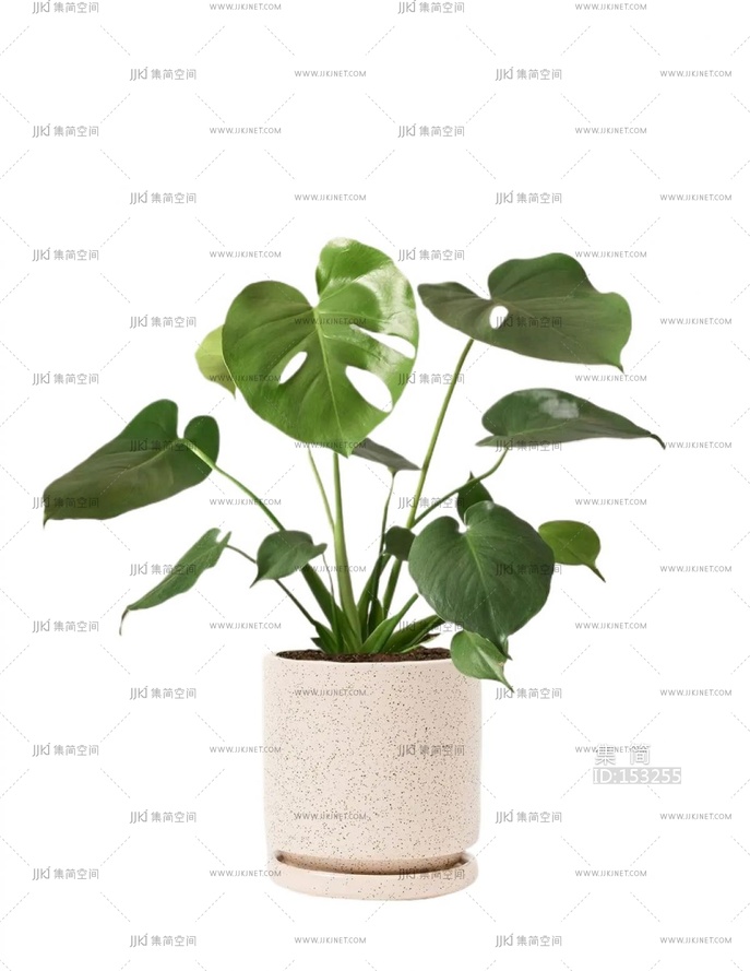 02-花盆绿萝花池png免扣素材 (10)