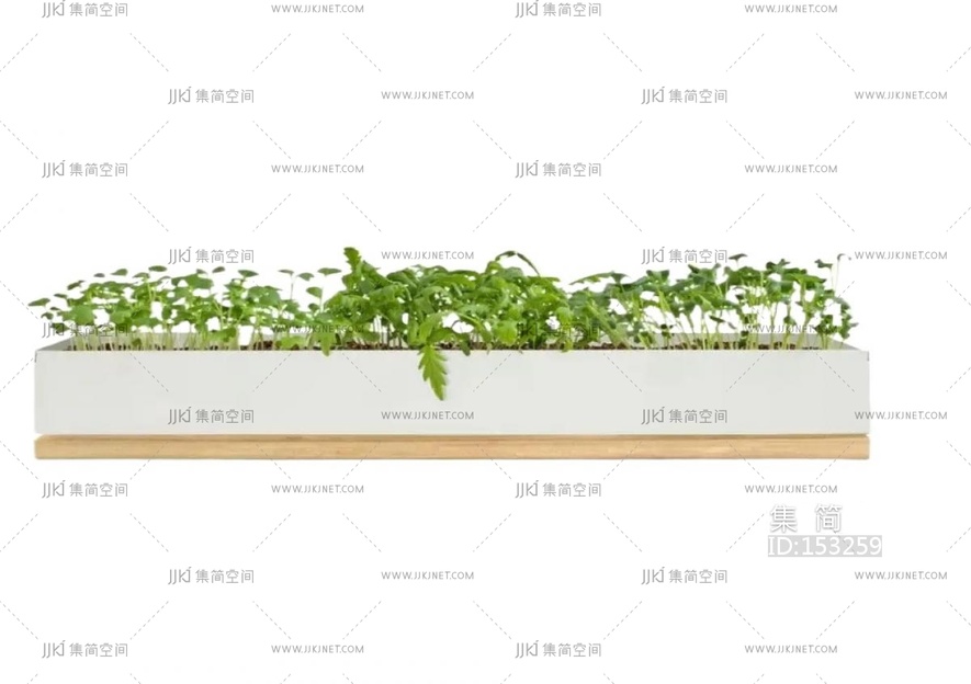 02-花盆绿萝花池png免扣素材 (15)