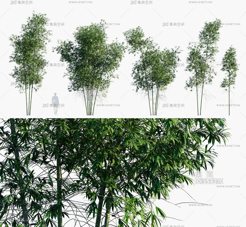 竹子_绿竹_斑竹_青竹_竹林3D模型