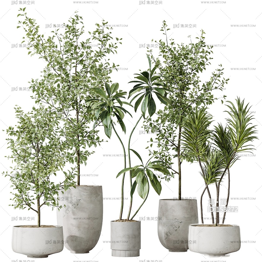 现代盆栽盆景_绿植组合3D模型