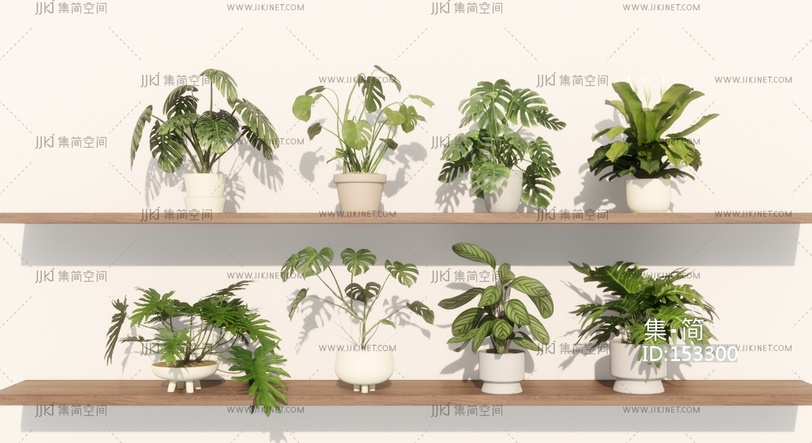 绿植盆栽_盆景_小盆栽_龟背竹_吊兰_绿萝SU模型