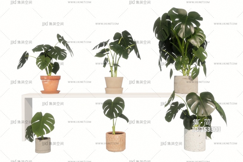 绿植盆栽龟背组植物组合SU模型