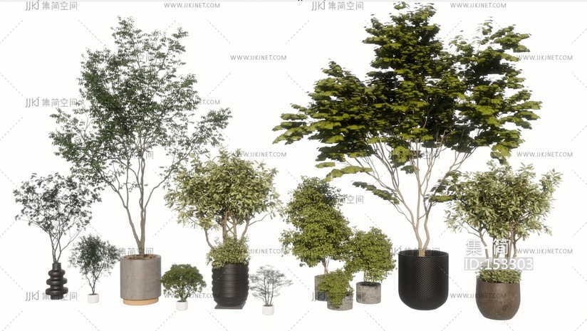 现代盆栽_绿植_树SU模型