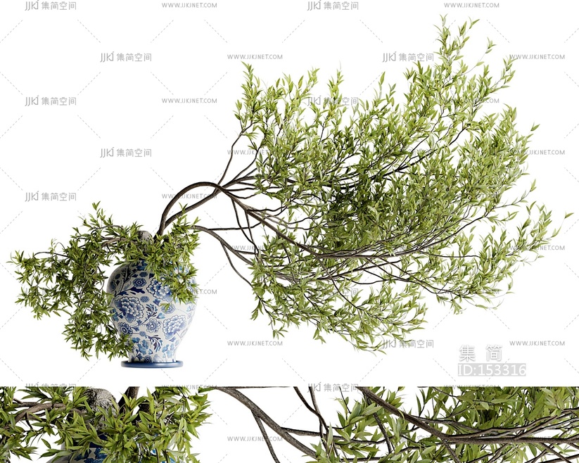 青瓷花盆中的树枝花束,植物插画3D模型cr