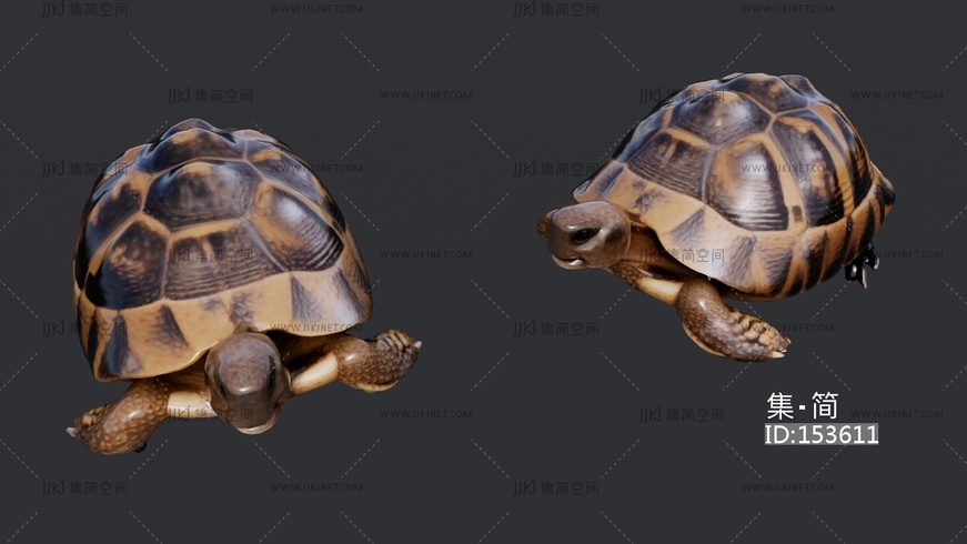 两栖动物乌龟 su草图模型