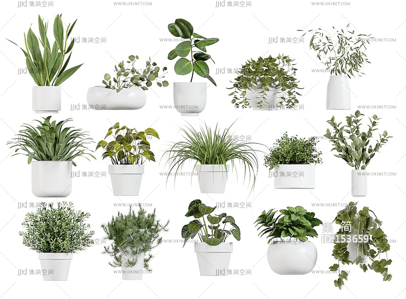 绿萝绿植花盆阳台植物绿植花盆3D模型