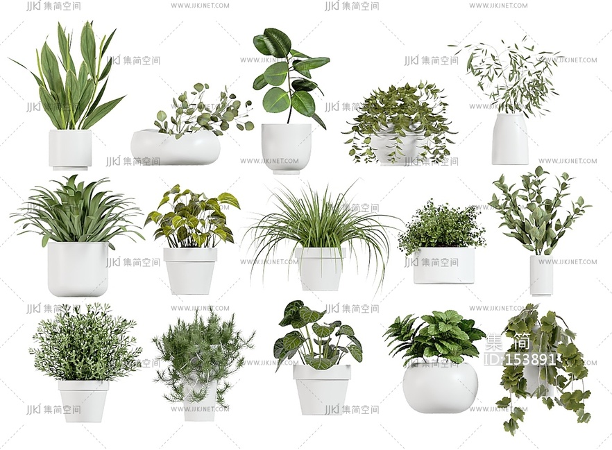 绿萝绿植花盆阳台植物绿植花盆SU模型