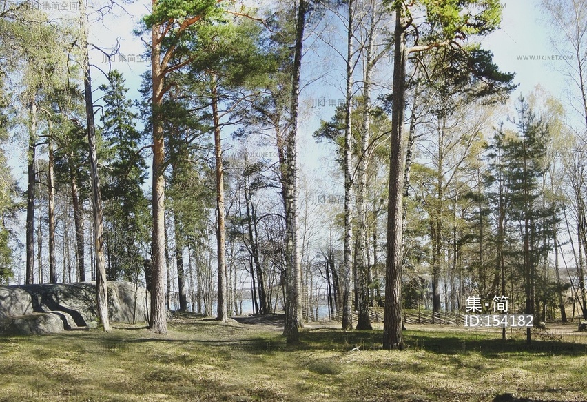 森林树林窗口贴图